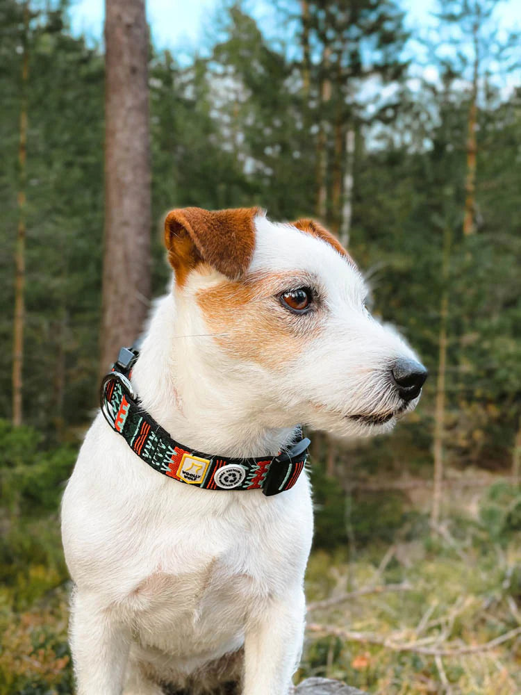 Woodland Collar
