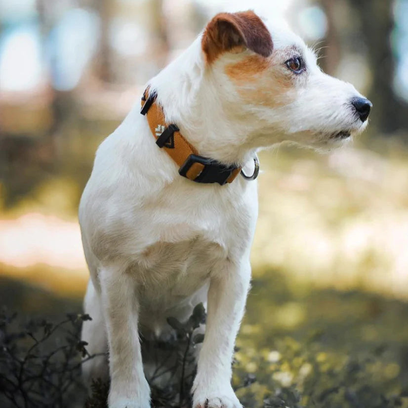 Sea to Summit Collar