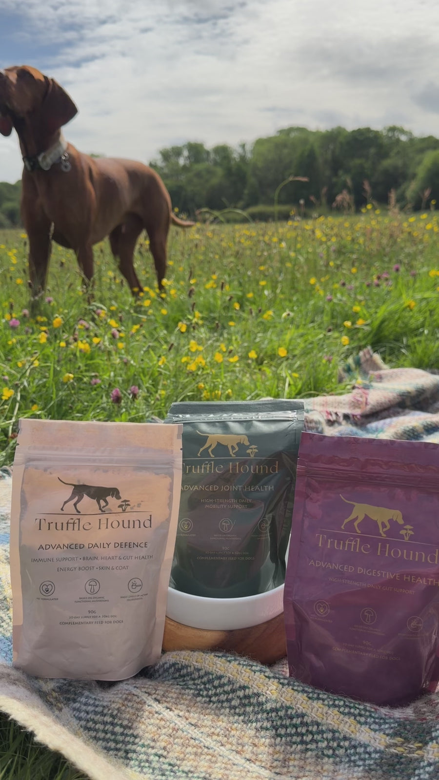 Truffle Hound supplement pouches beside a dog in a wildflower meadow