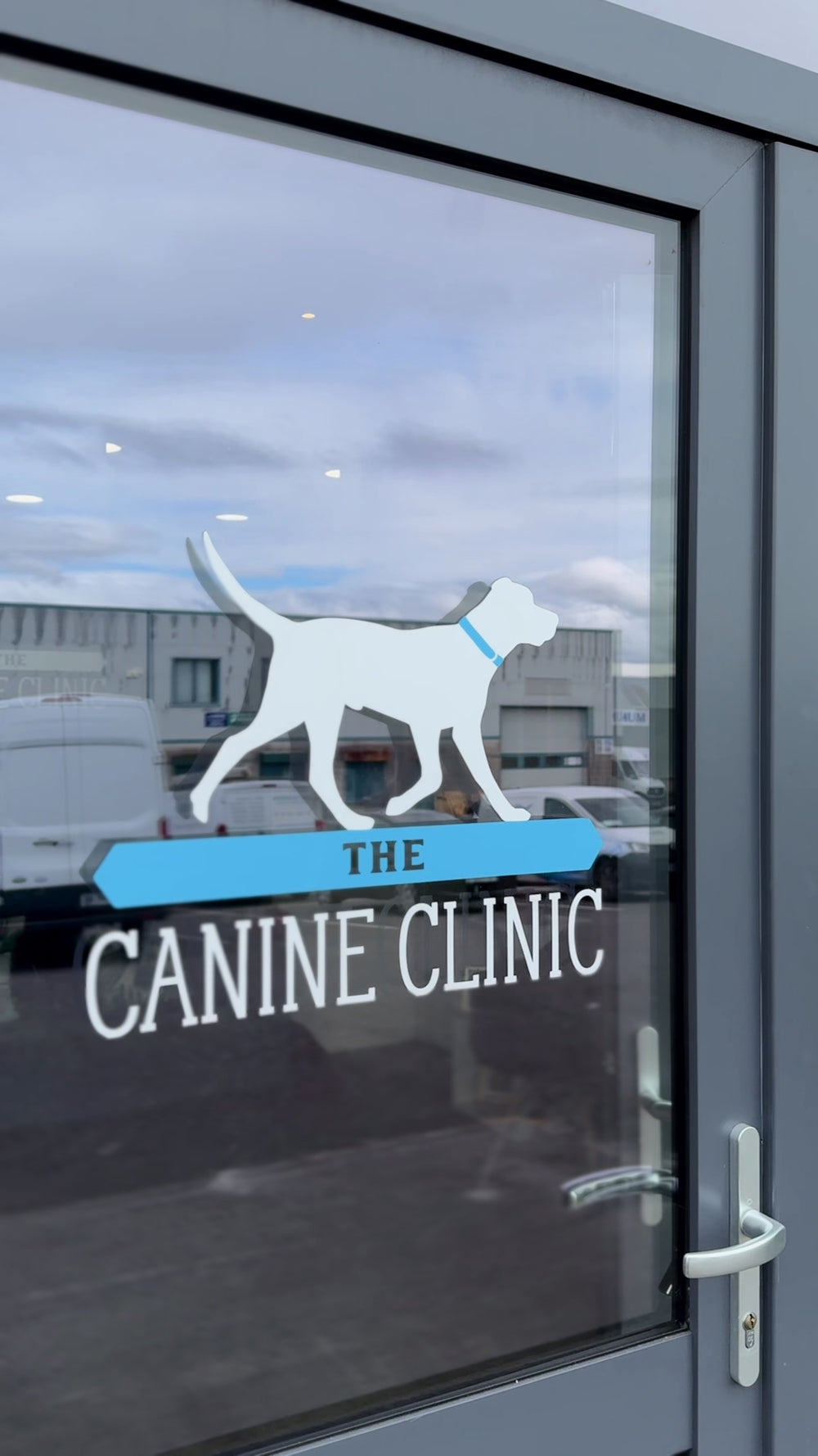 Canine physiotherapy and rehabilitation treatment at The Canine Clinic