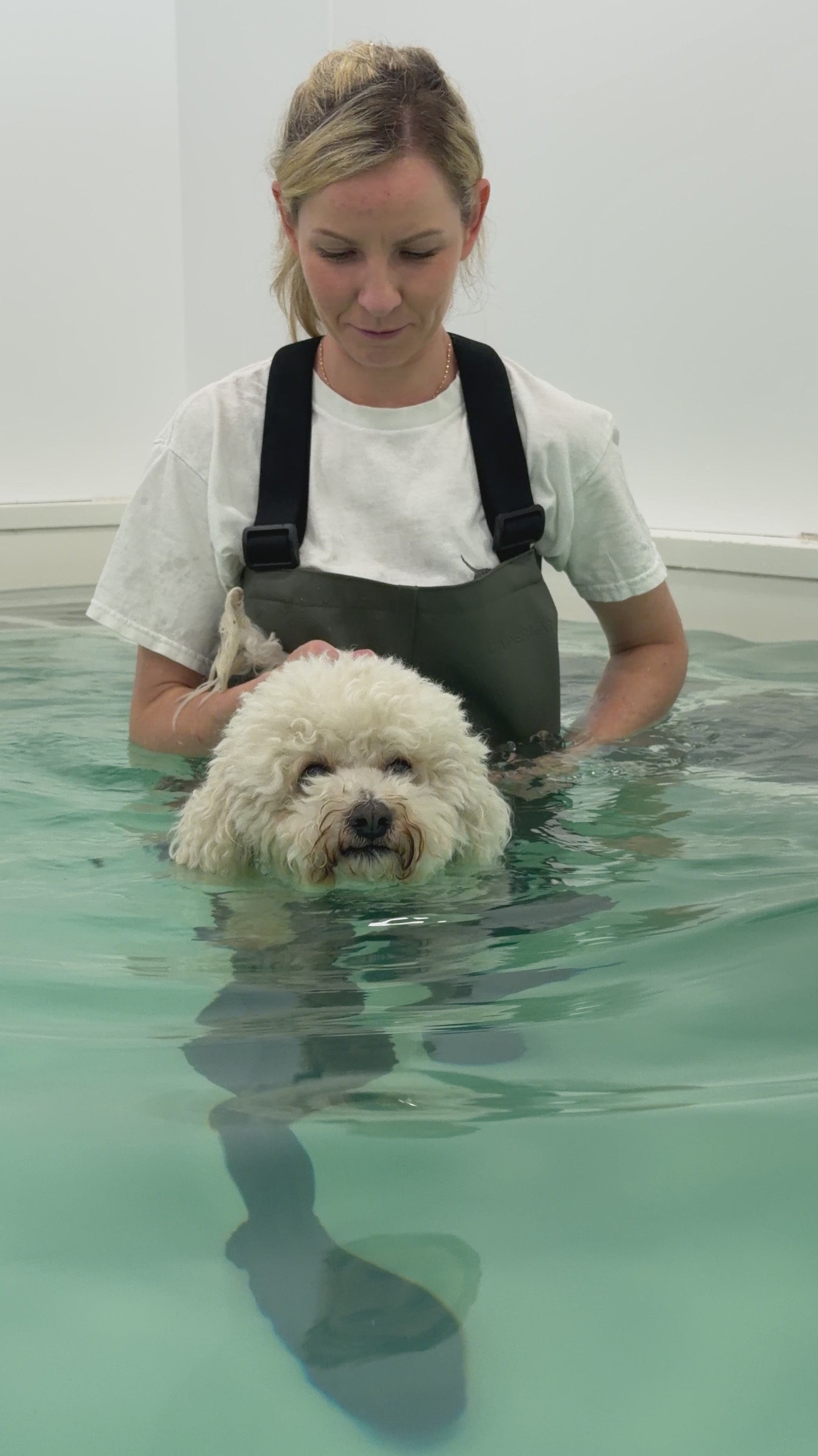 One-to-one clinical hydrotherapy session at The Canine Clinic in Cork
