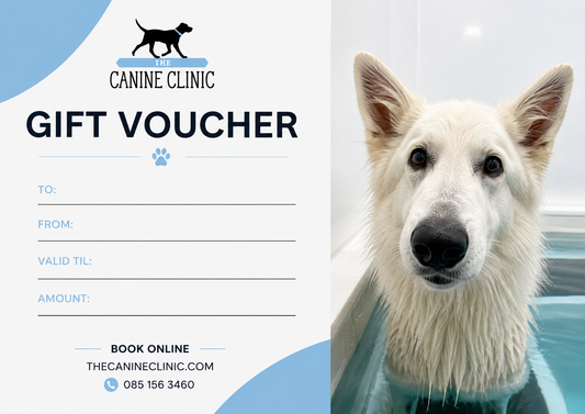 The Canine Clinic gift voucher featuring a white dog in the hydrotherapy pool