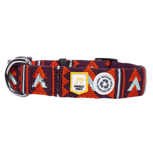 Loki wolf dog 2024 collar